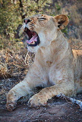 img_8119_Barlog 2.jpg