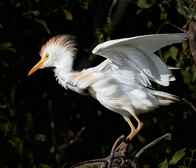 img_2472_Dave Dooley.jpg