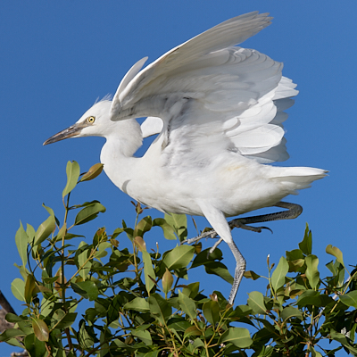 img_2509_Dave Dooley.jpg