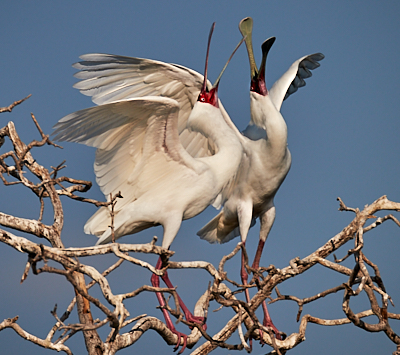 img_4986_Dave Dooley.jpg