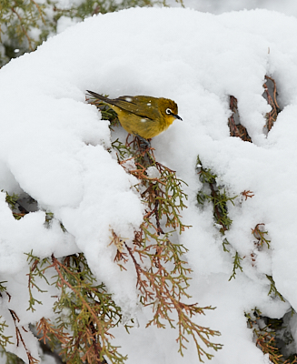 img_2654_Dave Dooley.jpg